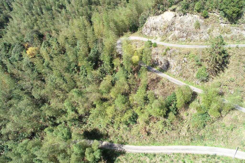 DJI_0013.jpg